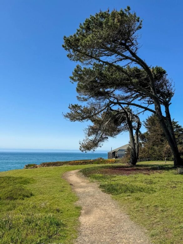 Sea Ranch, Northern California