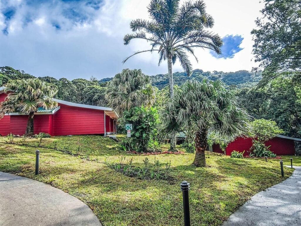 Cloud Forest Lodge