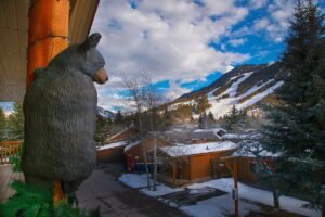Jackson Hole Wyoming