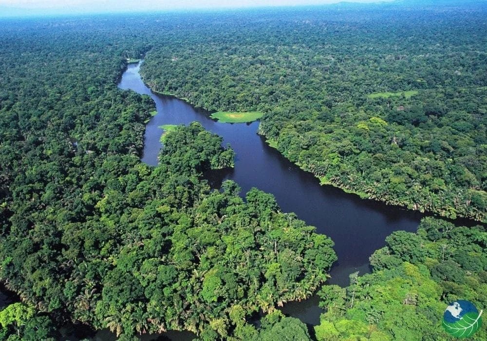 Tortuguero Canal