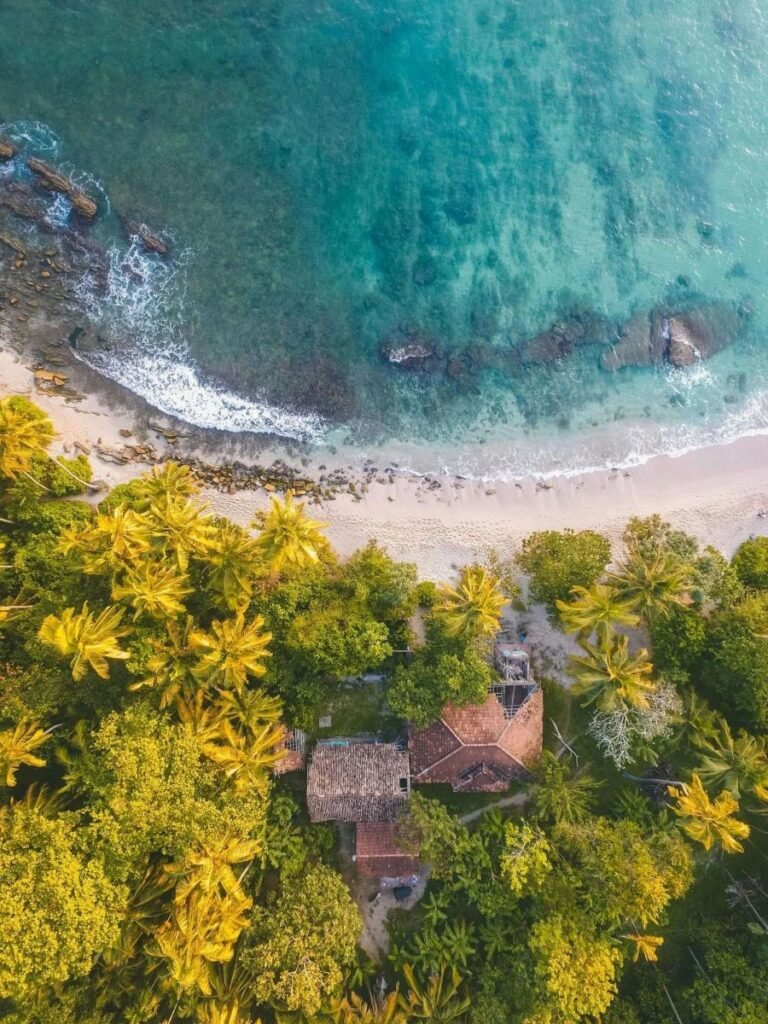 The Caribbean