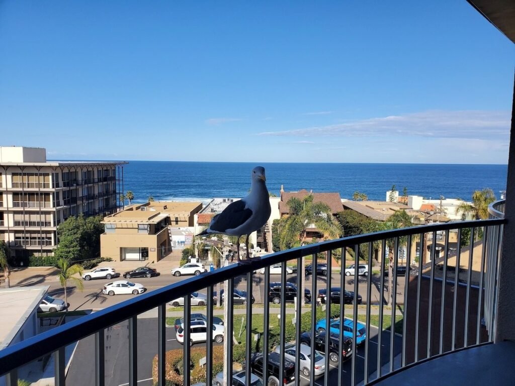 Inn By The Sea La Jolla