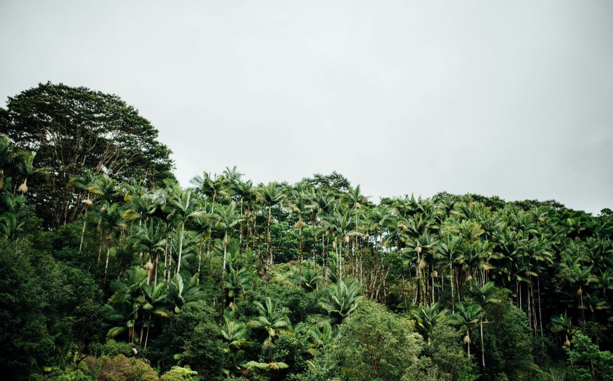Coconut Island Hawaii