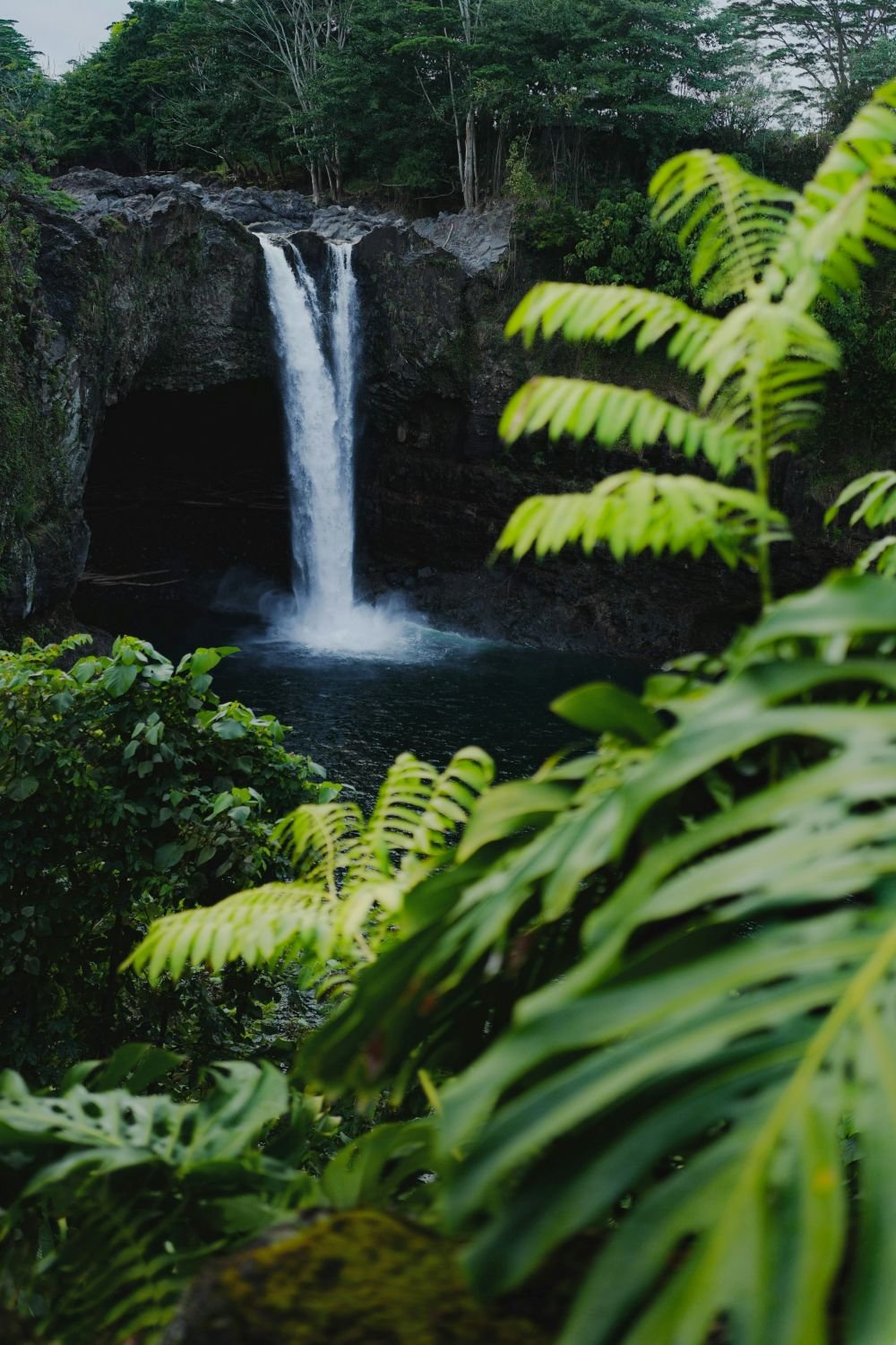 Rainbow Falls Hilo Hawaii